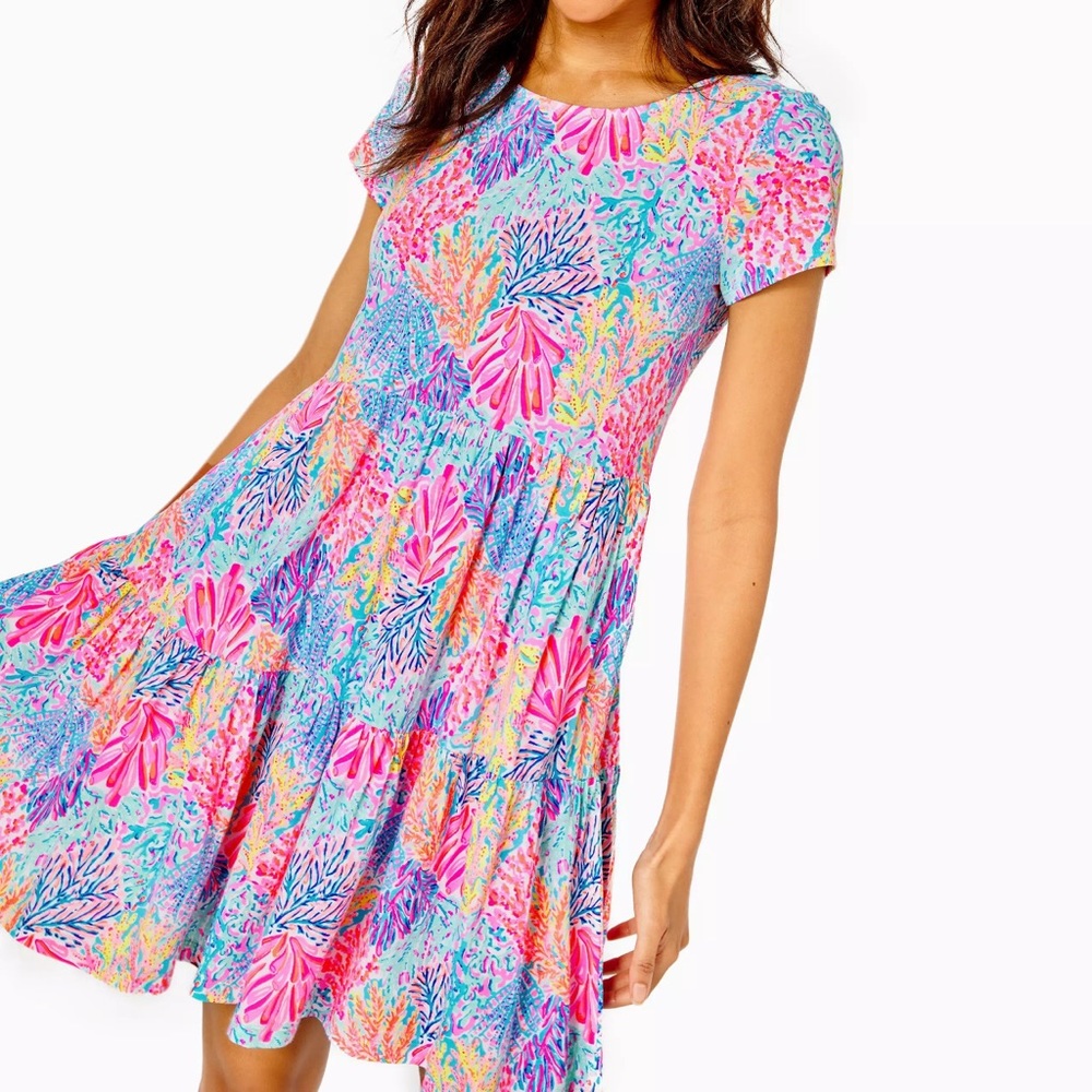Lilly Pultizer Geanna short sleeve dress XL